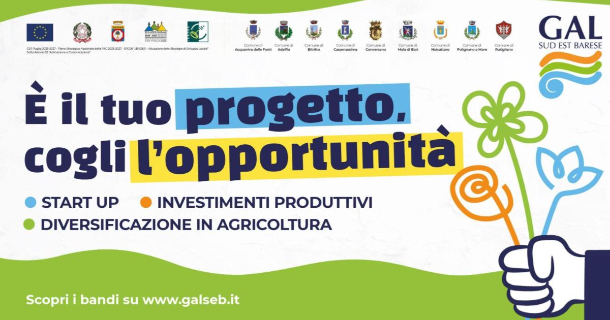 Immagine anteprima